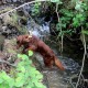 RRS_Fotogalerien_2016-05-22_Kasbachtal069