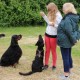 RRS_Fotogalerien_2016-06-12_Hundestunde010