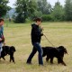 RRS_Fotogalerien_2016-06-12_Hundestunde086