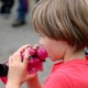 RRS_Fotogalerien_2016-08-21_Kraeuterspaziergang059