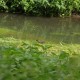 RRS_Fotogalerien_2016-08-21_Kraeuterspaziergang074
