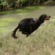 RRS_Fotogalerien_2016-08-21_Kraeuterspaziergang077