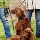 RRS_Fotogalerien_2016-08-21_Kraeuterspaziergang097