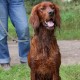 RRS_Fotogalerien_2016-08-21_Kraeuterspaziergang118