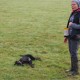 RRS_Fotogalerien_2016-10-23_Zeig-was-du-kannst-Gang051