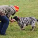 RRS_Fotogalerien_2016-10-23_Zeig-was-du-kannst-Gang056