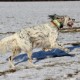 RRS_Fotogalerien_2017-01-22_Steinexkursion037