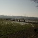 RRS_Fotogalerien_2017-01-22_Steinexkursion143