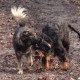 RRS_Fotogalerien_2017-02-12_Wuerfelwahnsinn028