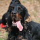 RRS_Fotogalerien_2017-02-12_Wuerfelwahnsinn106