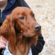 RRS_Fotogalerien_2017-02-12_Wuerfelwahnsinn127