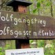 RRS_Fotogalerien_2017-04-23_Werwolf-Wanderung030