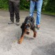 RRS_Fotogalerien_2017-05-07_Rosis-Medi-Tour-Natur001