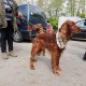 RRS_Fotogalerien_2017-05-07_Rosis-Medi-Tour-Natur004